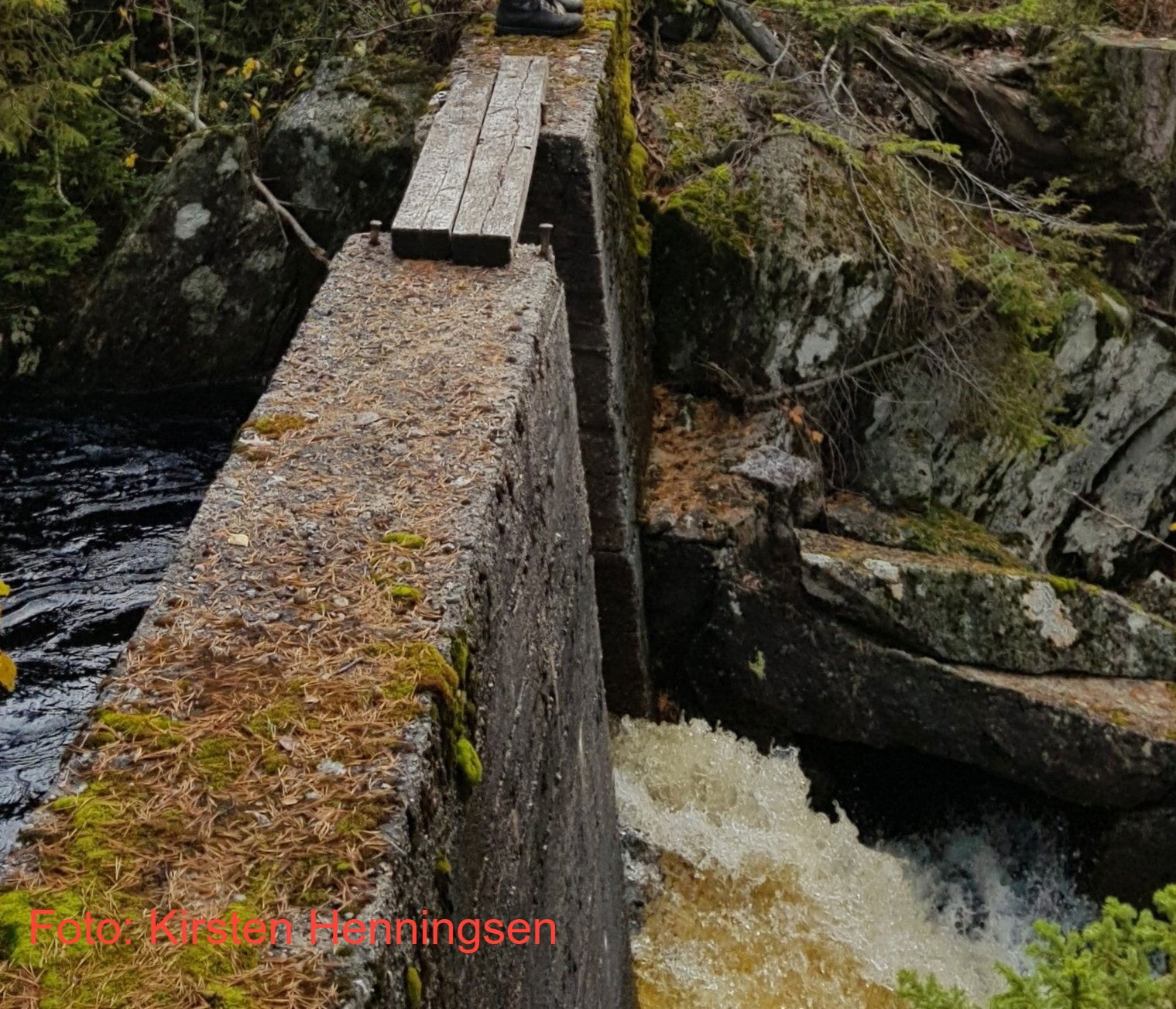 Leserinnlegg i Agderposten og Frolendingen, Driftsstyret 01.10.21