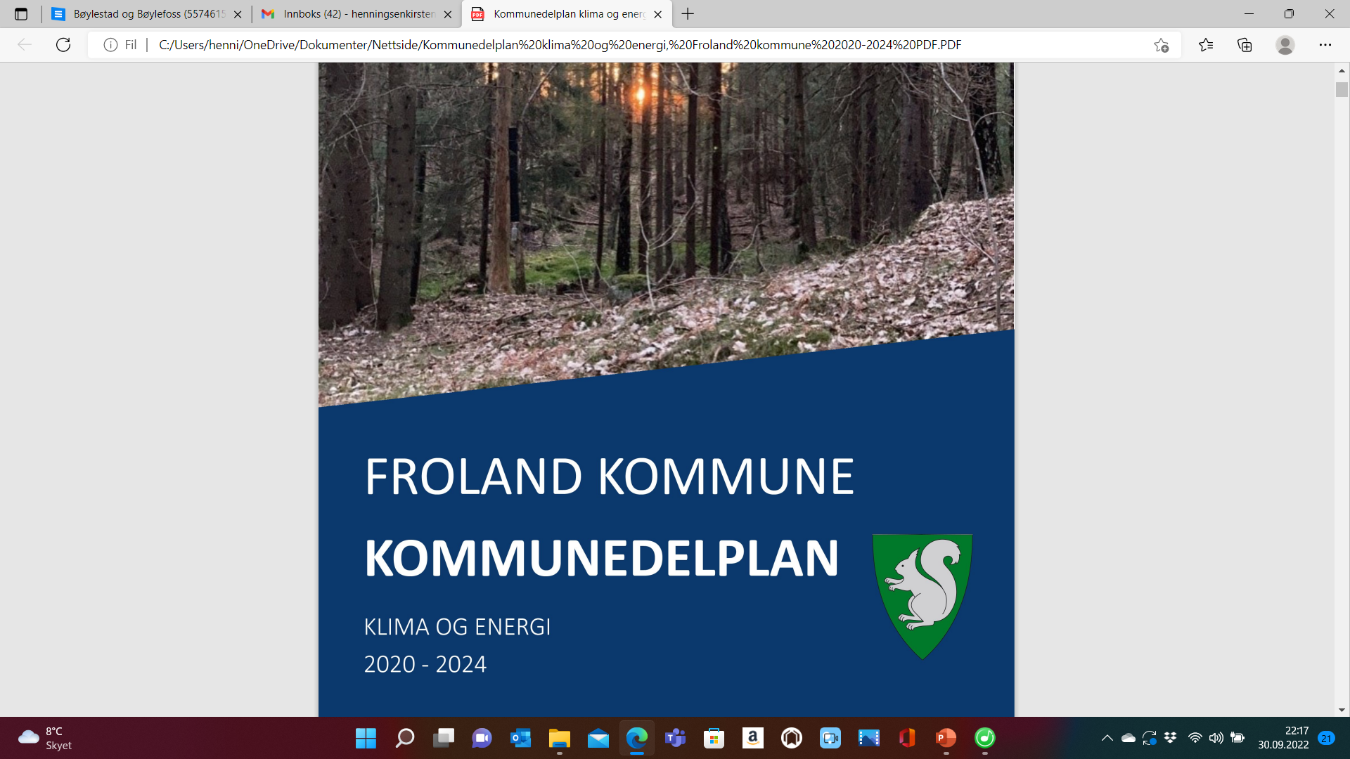 Kommunedelplan for klima og energi, Froland kommune 2020-2024