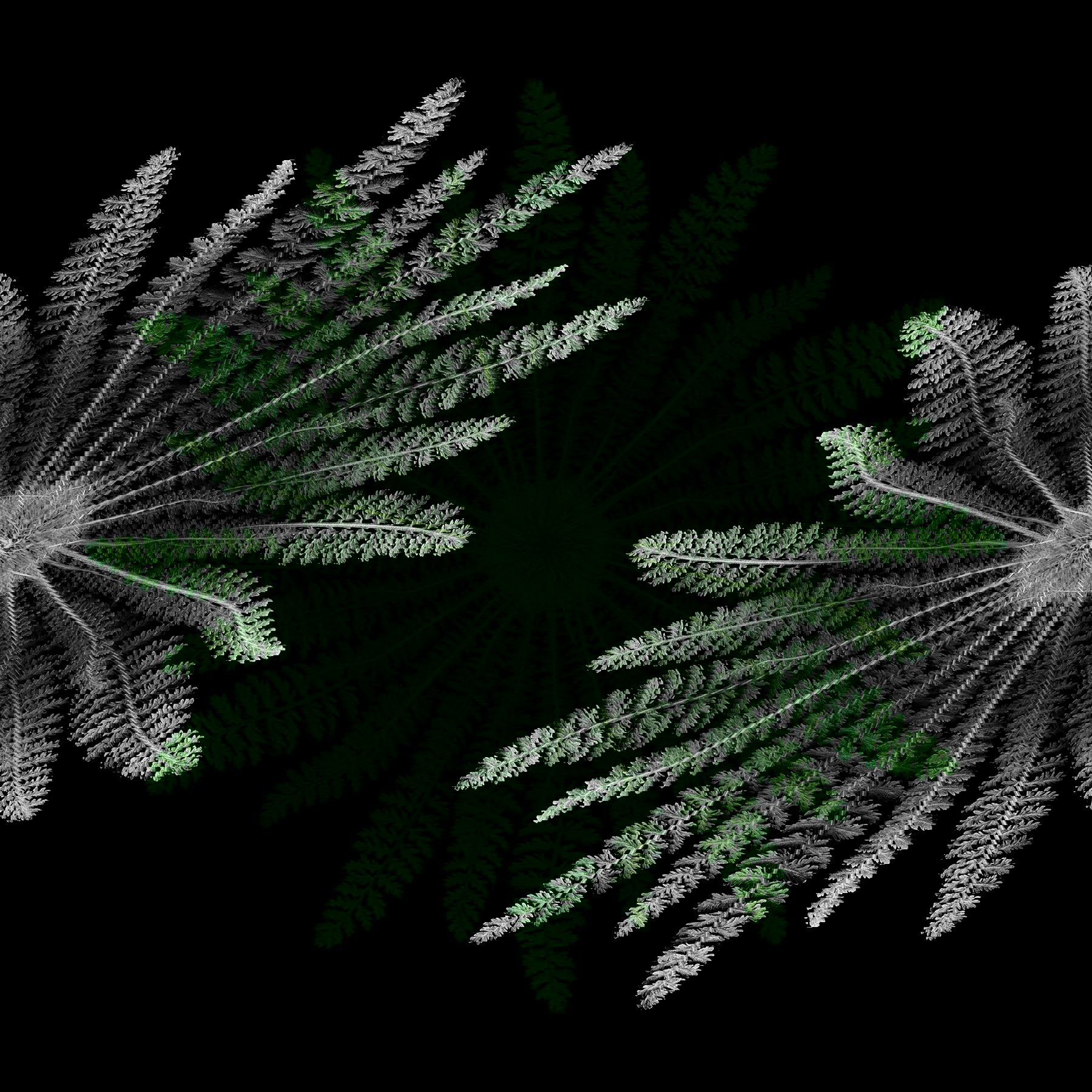 mandala 13