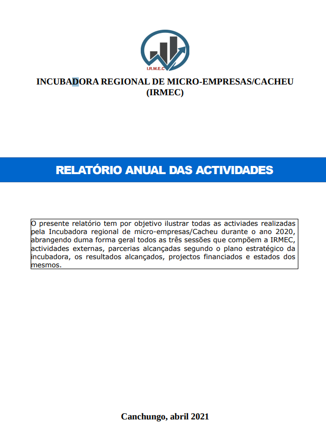 RELATORIO ANUAL IRMEC - 2020