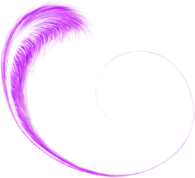 Breeze Soul Connections