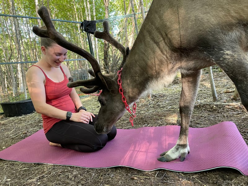 Yoga & Meditation Group