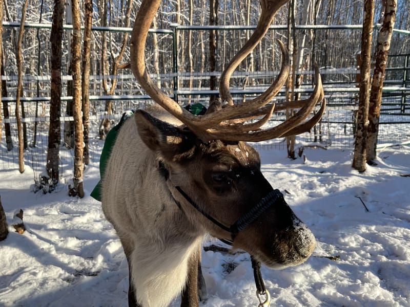 GEARING UP FOR THE 2021 HOLIDAY