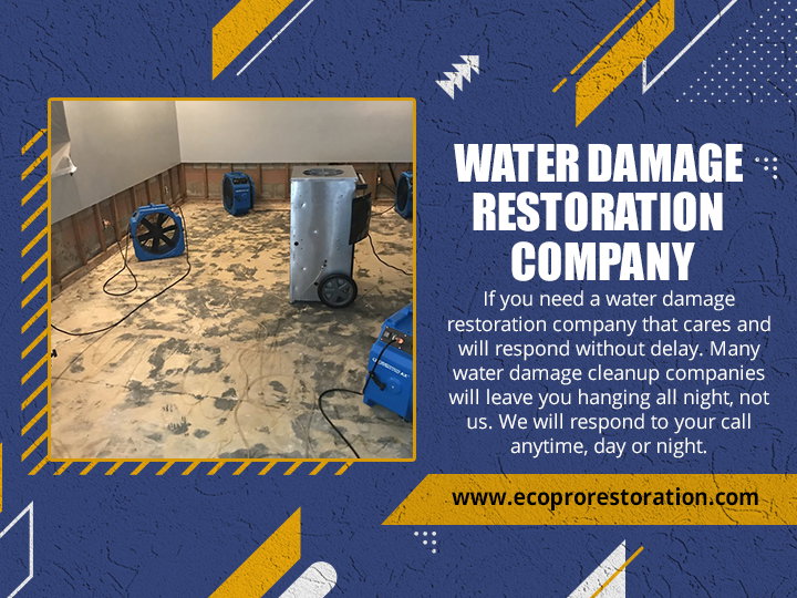 Water Damage Restoration Company