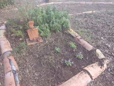 Intervention sur les végétaux le 23 Novembre