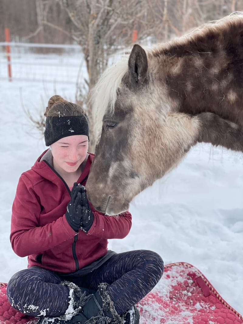 ARCTIC MUSTANG YOGA