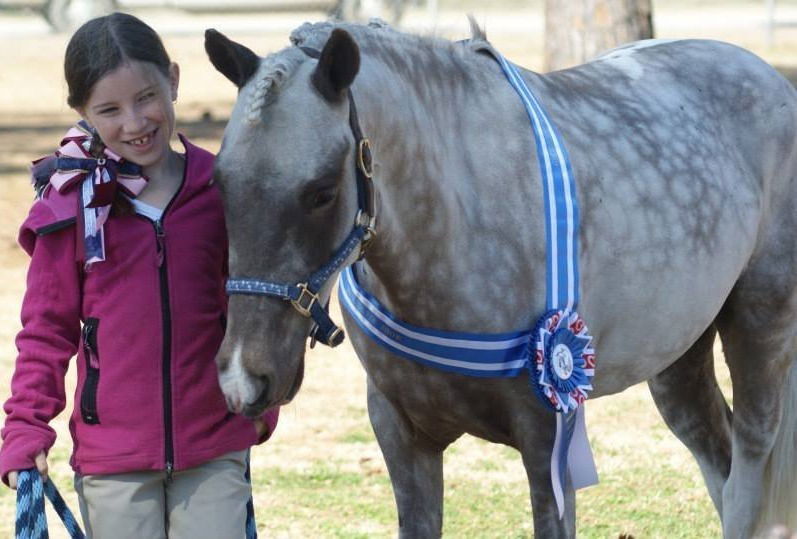 ULTIMATE EQUINE SPA