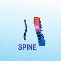 SPINE