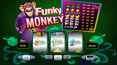 О Казино image