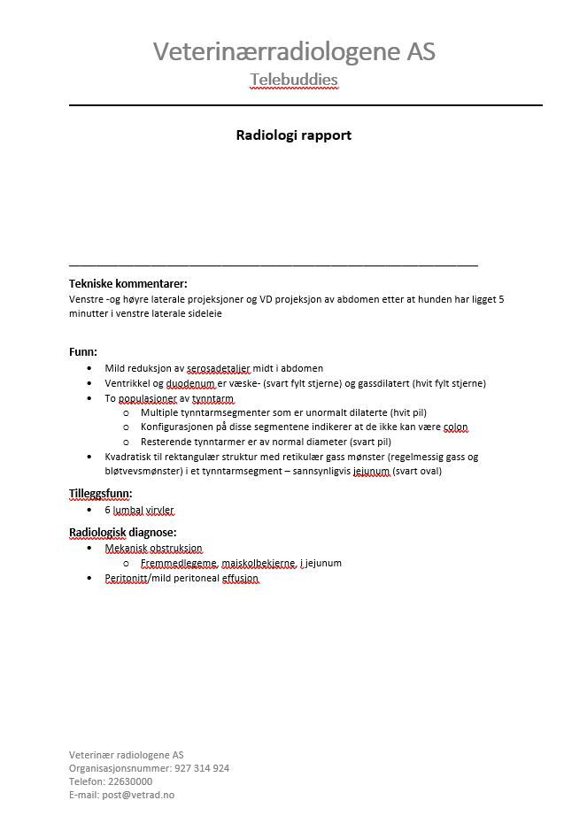 Kasus uke 44 2021 - SVFs høstkurs