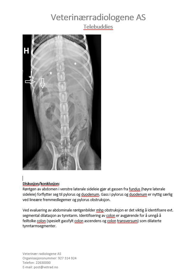 Kasus uke 44 2021 - SVFs høstkurs