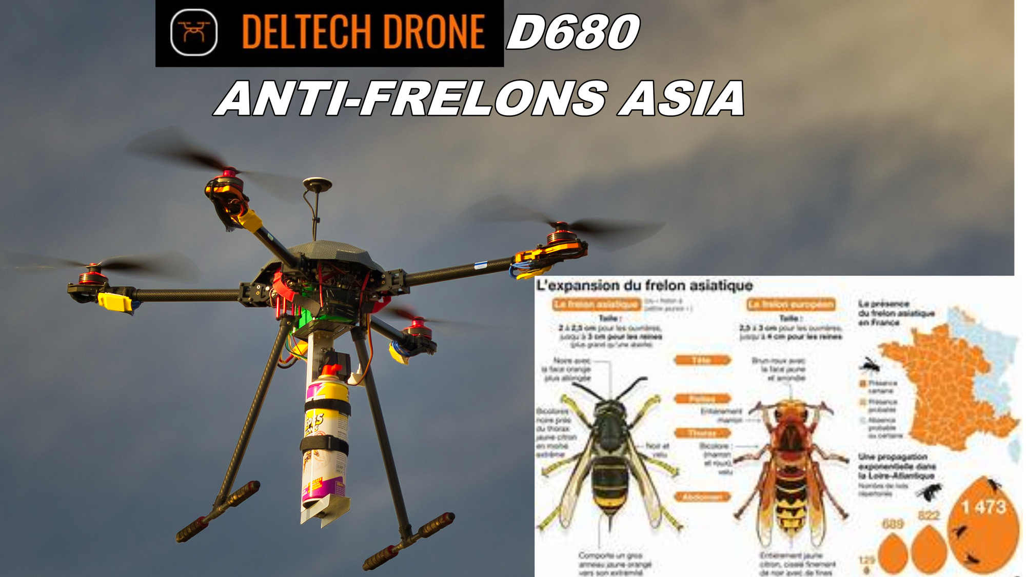 Drone anti-frelons asiatique
