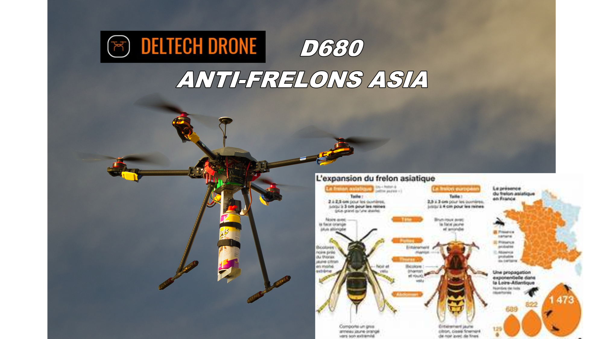 Le drone D680, radical contre les frelons asiatiques et les chenilles processionnaires