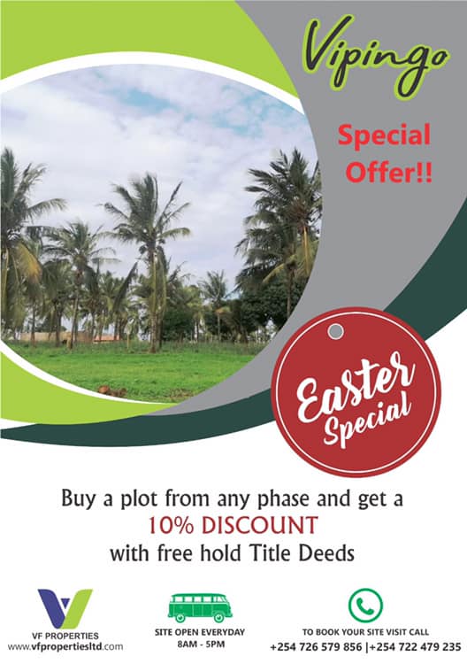 Easter Special Offer