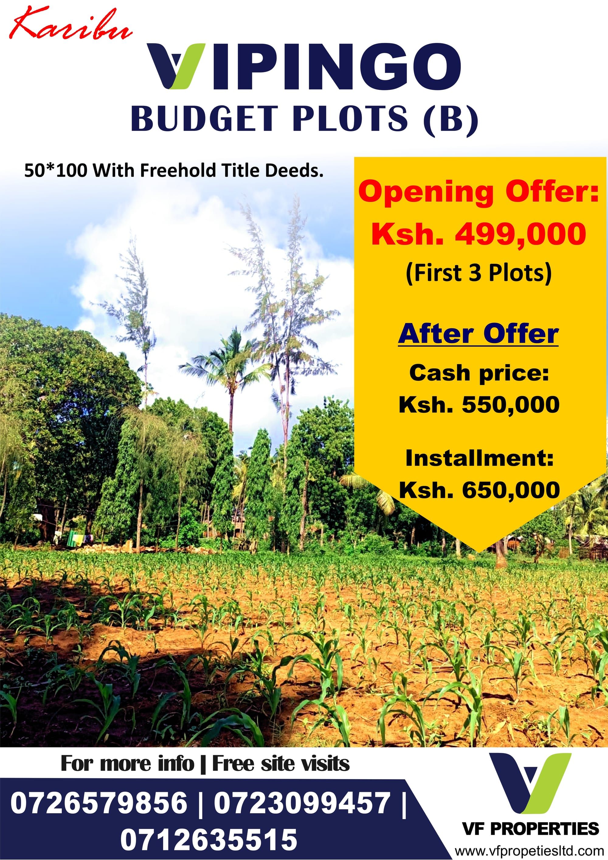 Vipingo Budget (B) Plots Opening Offer