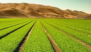 Farmers' Organizations