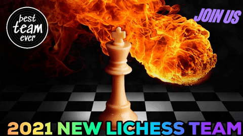 Our Lichess bots image