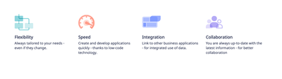 Ninox image