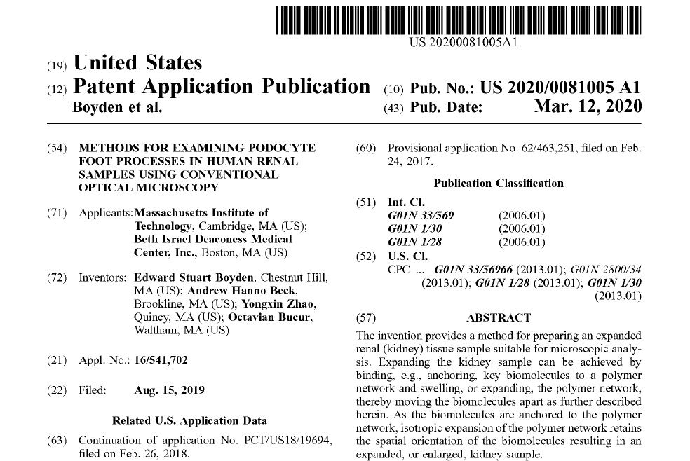 Patent: Methods for Examining Podocyte Foot Processes in Human Renal Samples Using Conventional Optical Microscopy