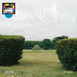 FOREIGN AIR - "WHY DON`T YOU FEEL THE WAY I DO?"