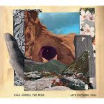 DAVE MATTHEWS BAND - "WALK AROUND THE MOON"