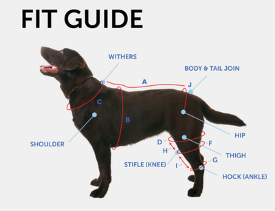 FIT &amp; MEASUREMENT GUIDE image