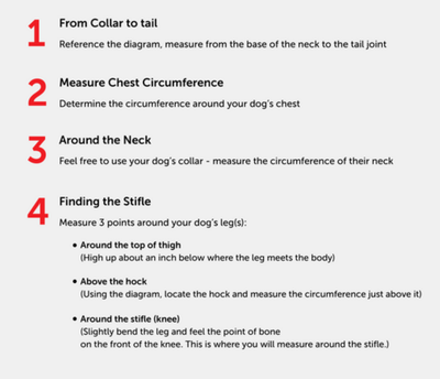 FIT &amp; MEASUREMENT GUIDE image