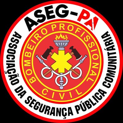 ASEG-PA image