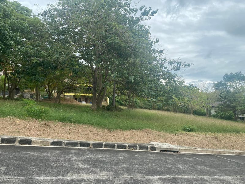 PUNTA FUEGO LOT FOR SALE