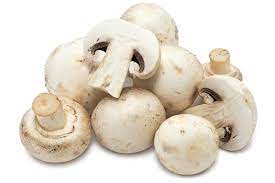 Button Mushroom