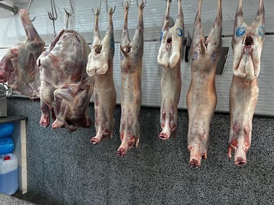 متجر اللحوم