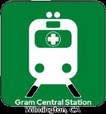 Gram Central Station 15 Cap