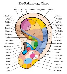 Auricular Therapy