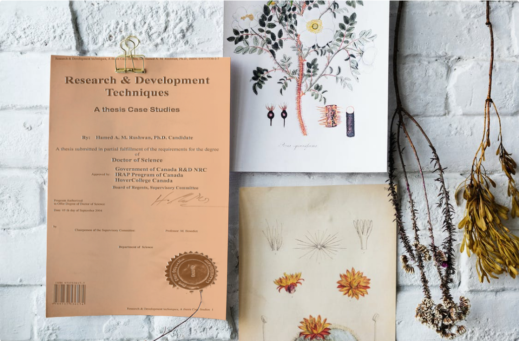 Prof. Rushwan Ph.D. Theses Case studies with 7 year