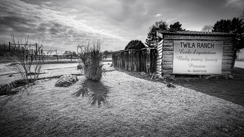 Twila Ranch - Horses Competitions