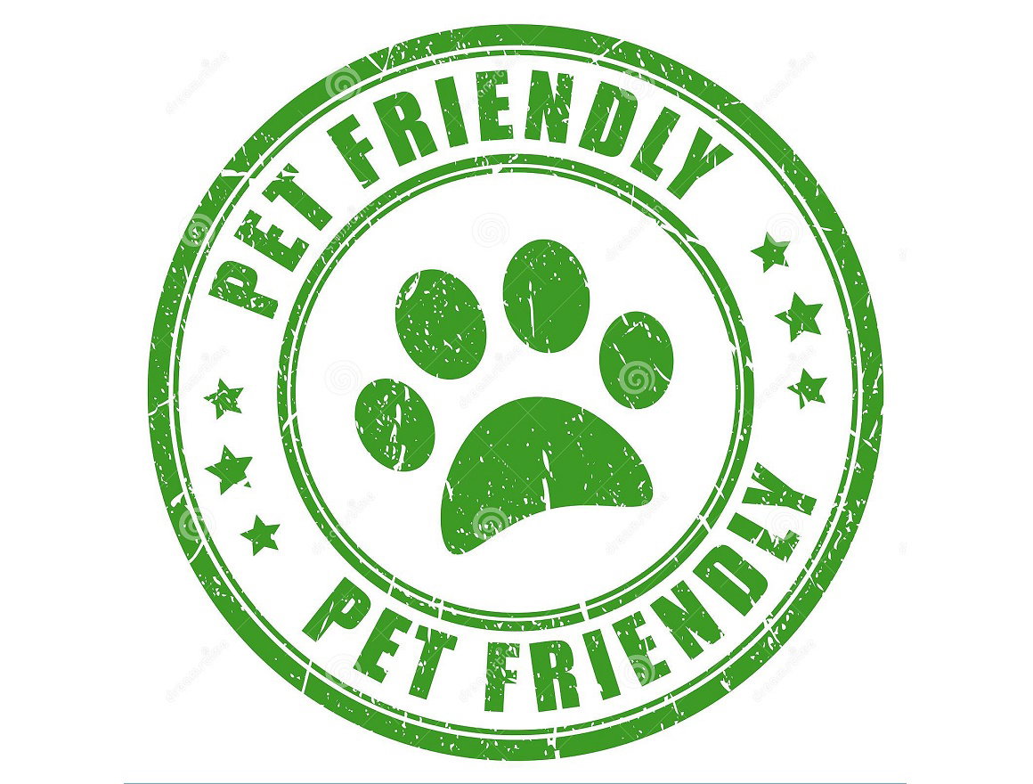 SOMOS PET FRIENDLY 🐕‍🦺 con Bowls y Snaks!