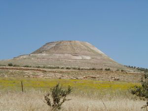 12 יח"ד - דו משפחתיים