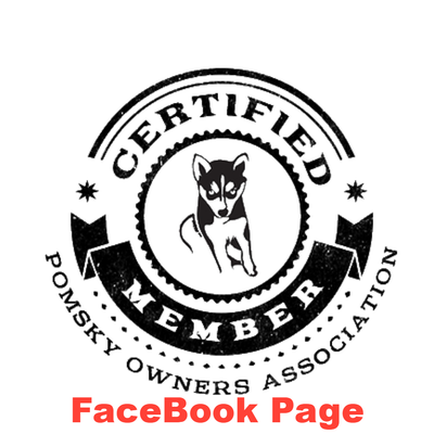 Pomsky Owners Association