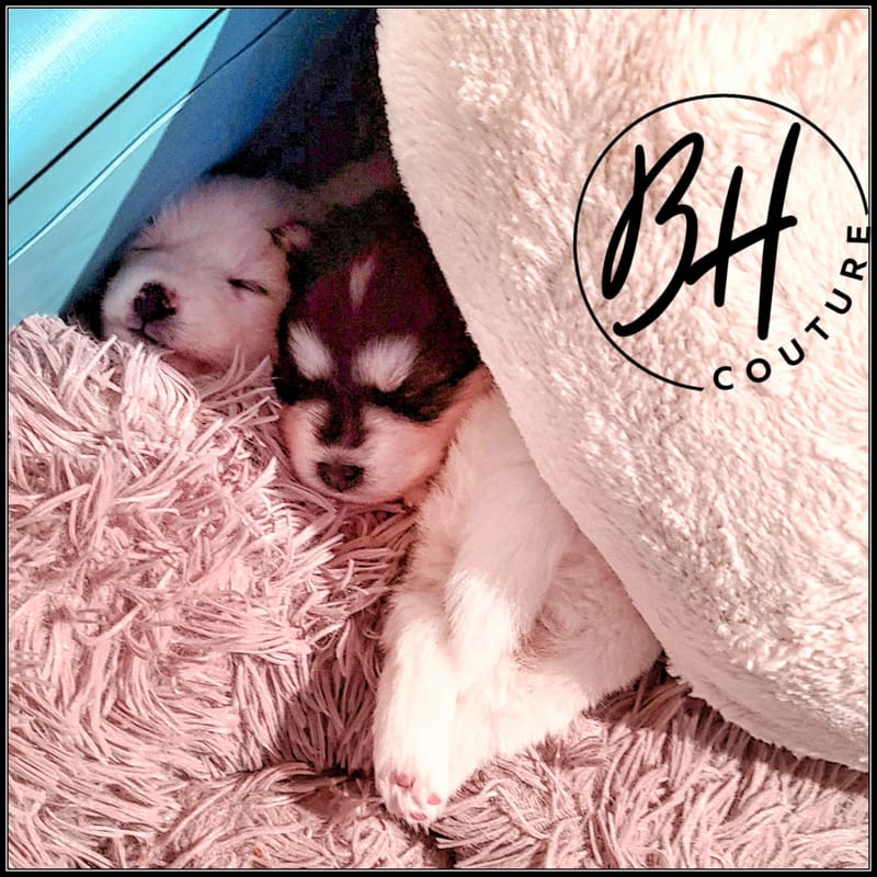 Rose Berry ( female 1) - 3/26/2023