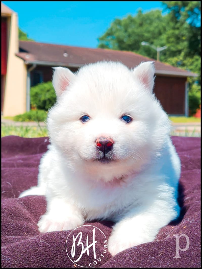 Rose Berry ( female 1) - 3/26/2023