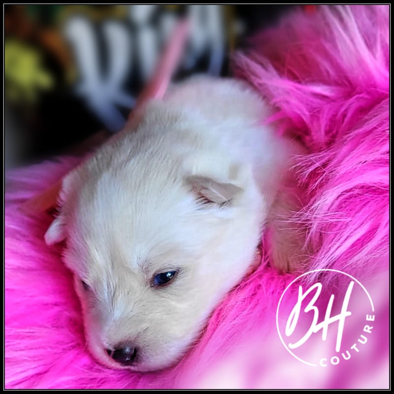 Rose Berry ( female 1) - 3/26/2023