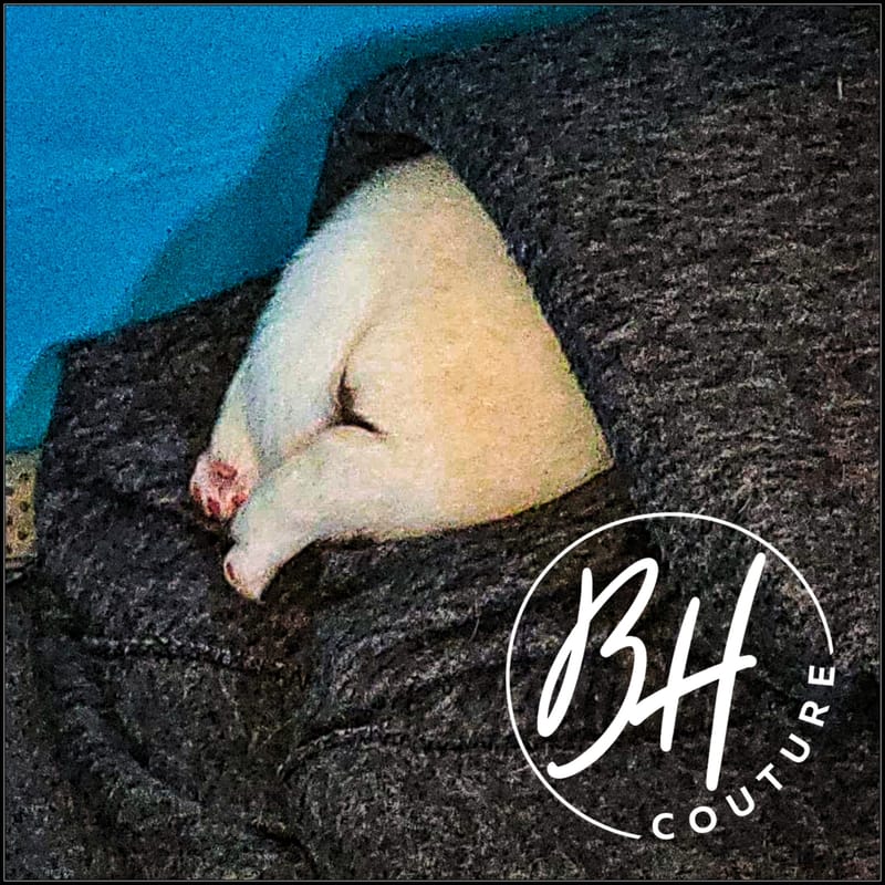 Rose Berry ( female 1) - 3/26/2023