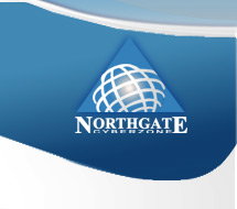 Cyberzone Properties, Inc.