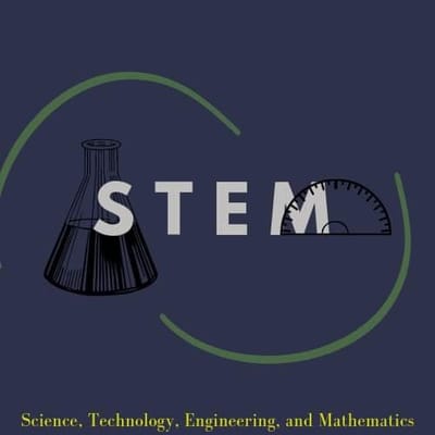 STEM: An Initial Step