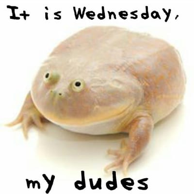 Wednesday image