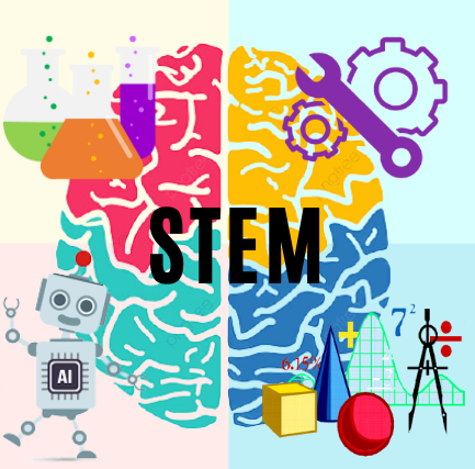 STEM : See the Beauty and Importance of Mathematics