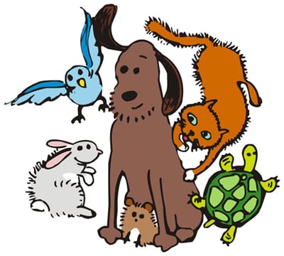 ÖFFNUNGSZEITEN image