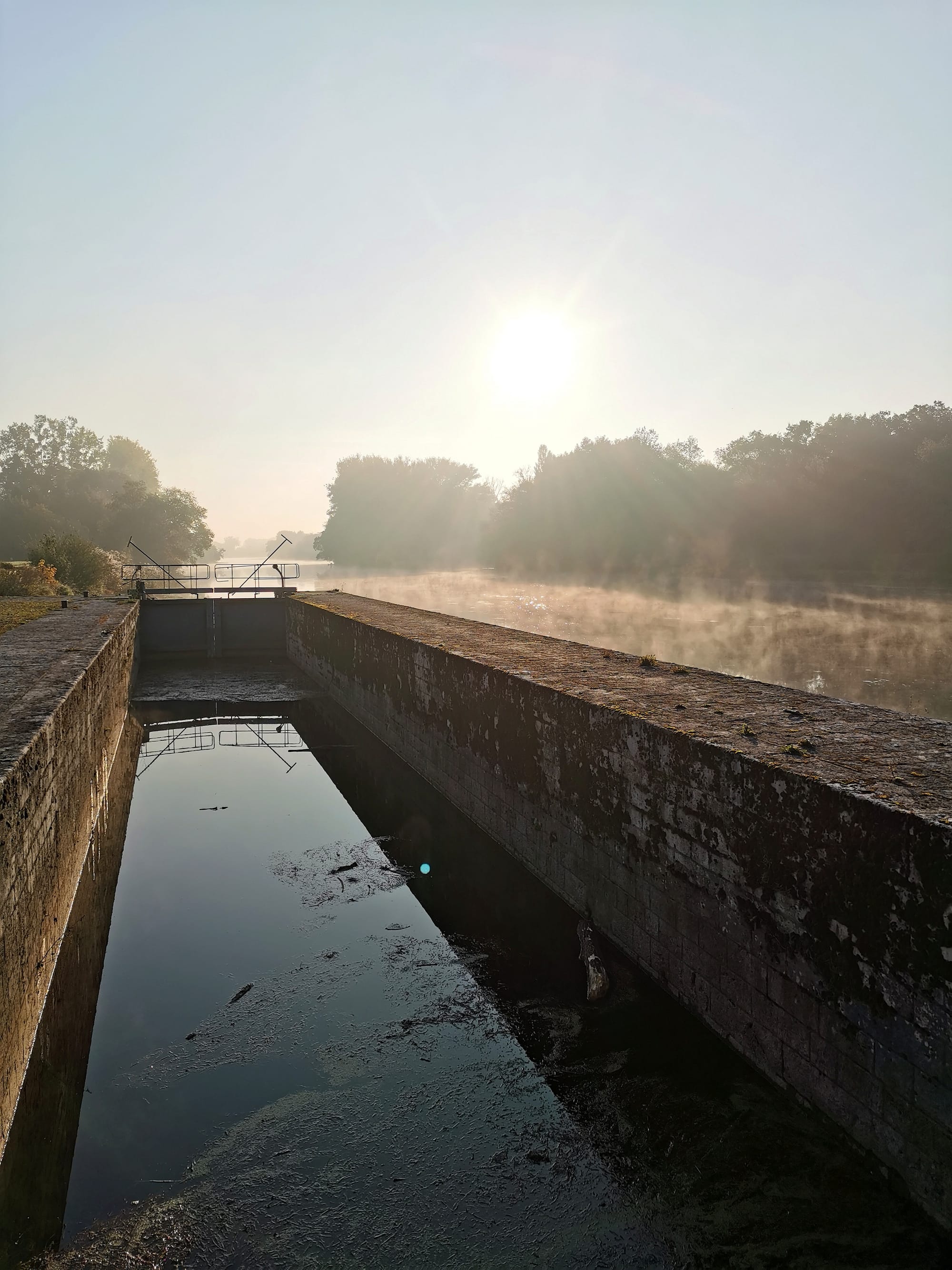 Les Rives du Cher