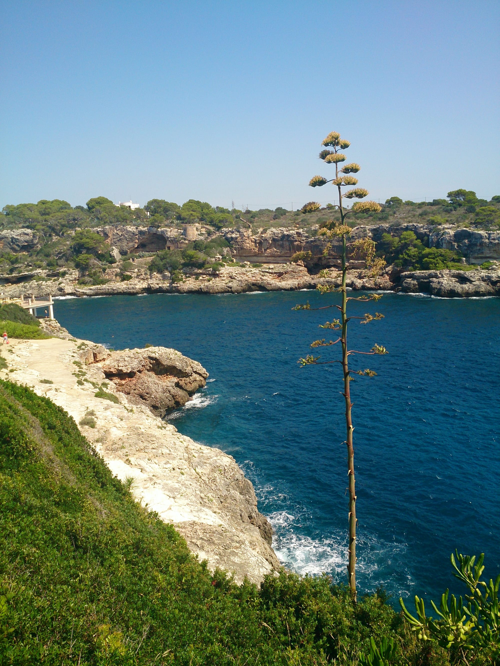 Mallorca