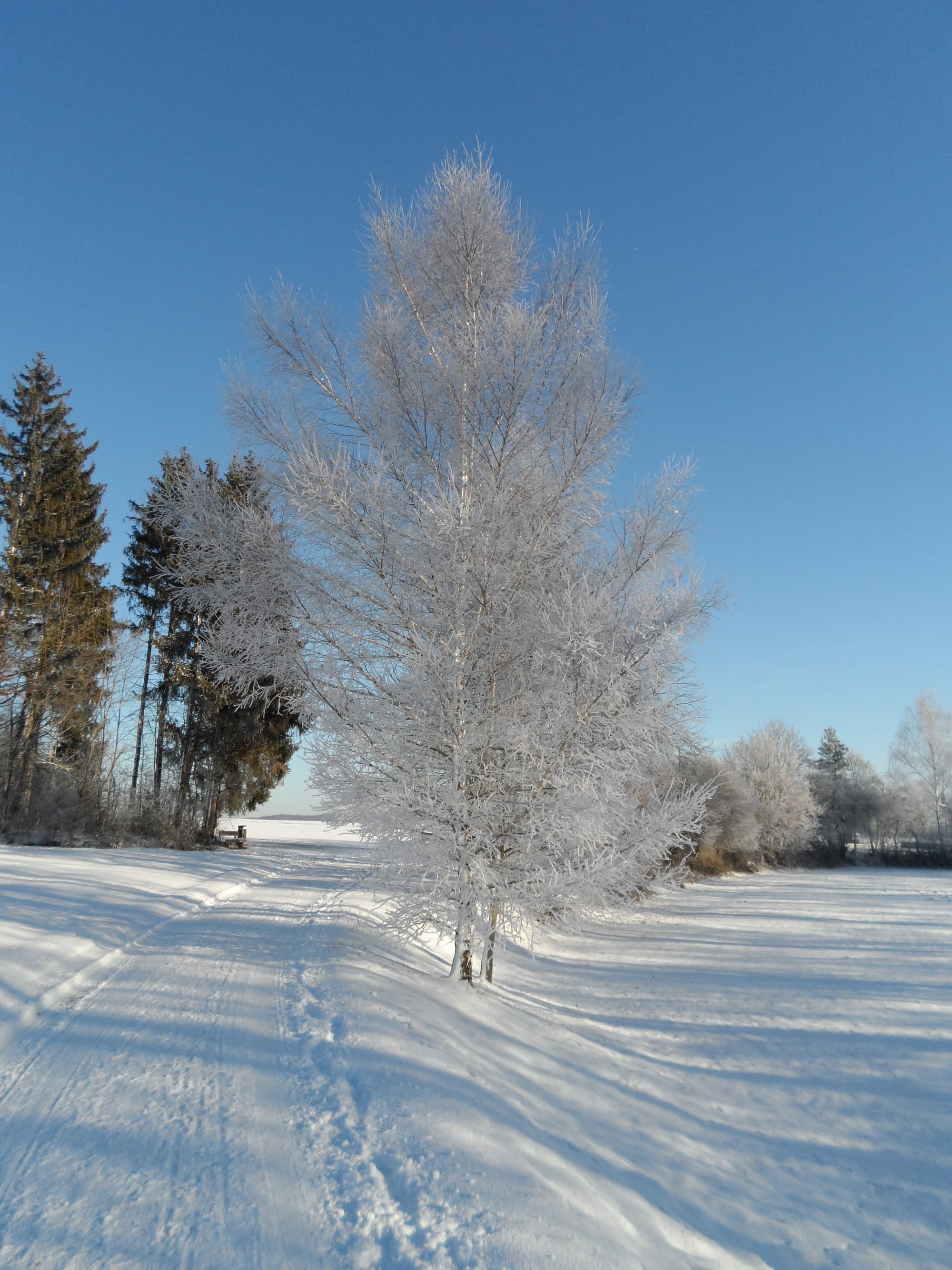 Winterzauber